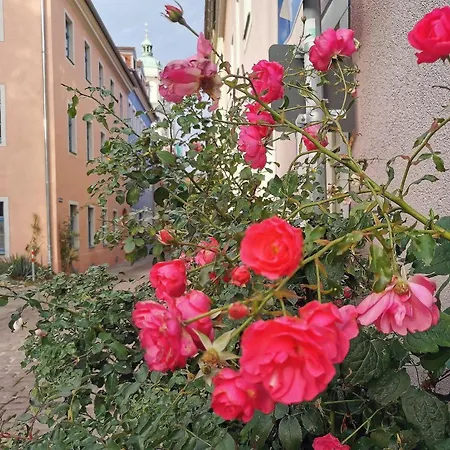 Fynbos Apartments In Der Altstadt, Frauenkirche, Historisch, Parkplatz Мейсен Экстерьер фото