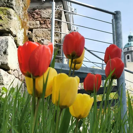 Fynbos Apartments In Der Altstadt, Frauenkirche, Historisch, Parkplatz Мейсен Экстерьер фото