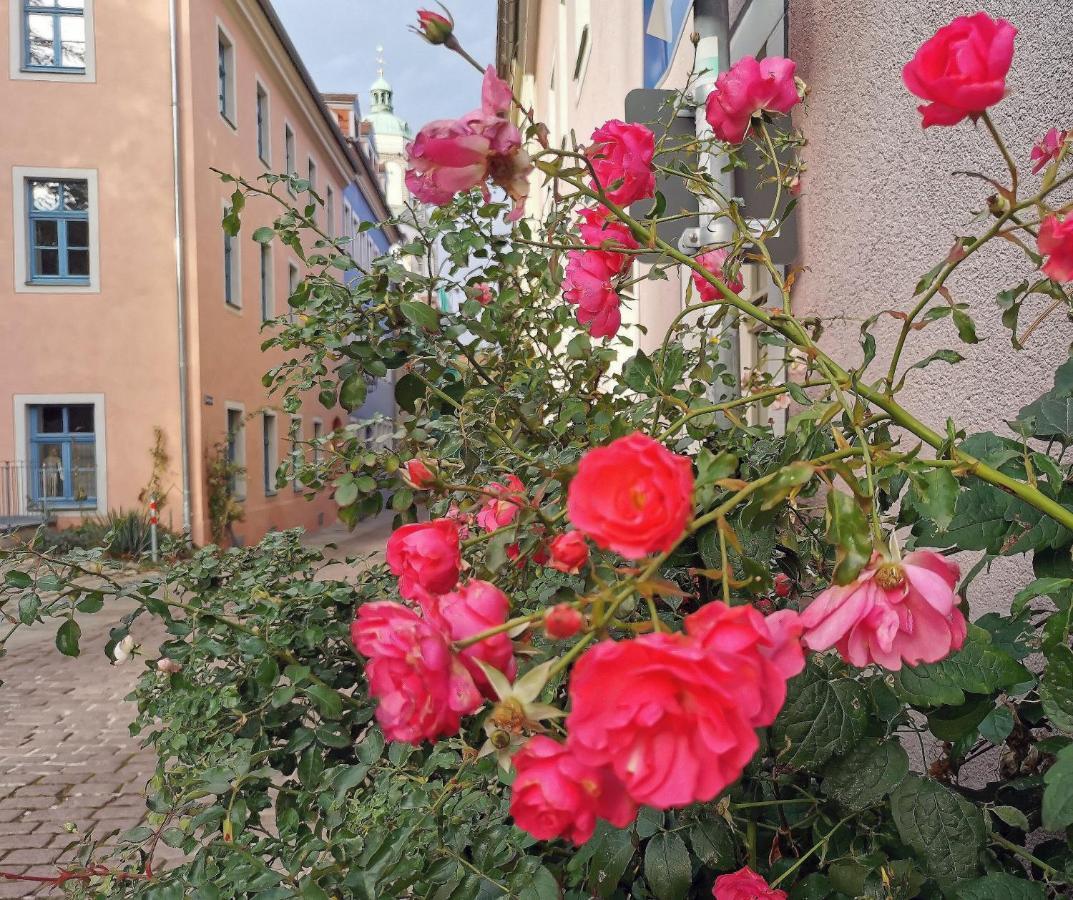 Fynbos In Der Altstadt, Frauenkirche, Historisch, Parkplatz Appartement *