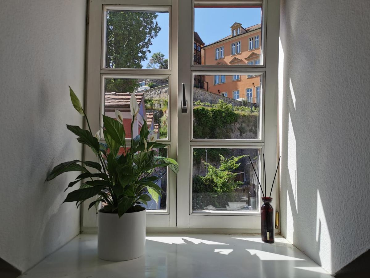 Fynbos In Der Altstadt, Frauenkirche, Historisch, Parkplatz Meissen