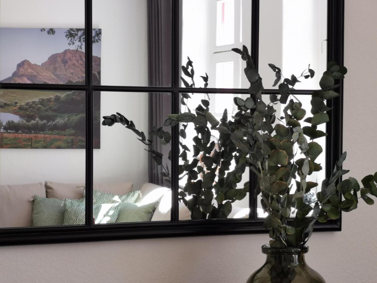 Fynbos In Der Altstadt, Frauenkirche, Historisch, Parkplatz